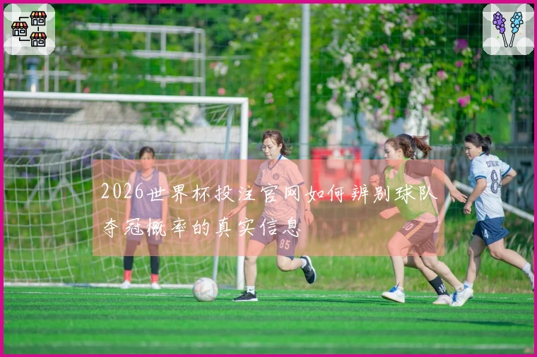 2026世界杯投注官网如何辨别球队夺冠概率的真实信息