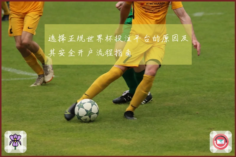 选择正规世界杯投注平台的原因及其安全开户流程指南