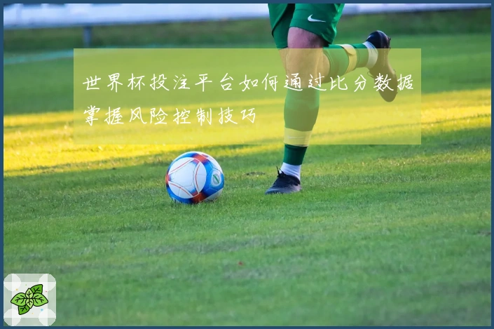 世界杯投注平台如何通过比分数据掌握风险控制技巧