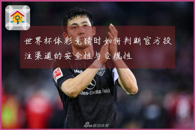 世界杯体彩竞猜时如何判断官方投注渠道的安全性与合规性