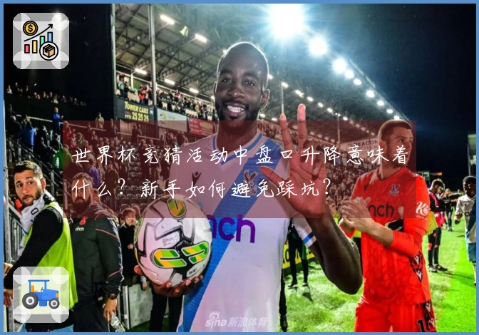 世界杯竞猜活动中盘口升降意味着什么？新手如何避免踩坑？