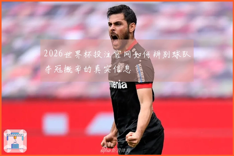 2026世界杯投注官网如何辨别球队夺冠概率的真实信息