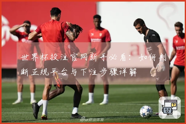 世界杯投注官网新手必看：如何判断正规平台与下注步骤详解