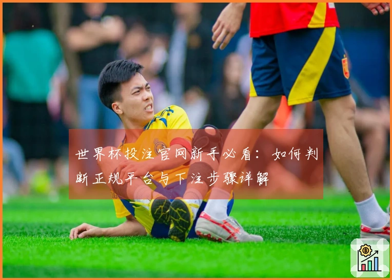 世界杯投注官网新手必看：如何判断正规平台与下注步骤详解