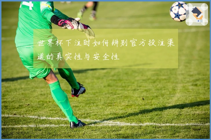 世界杯下注时如何辨别官方投注渠道的真实性与安全性