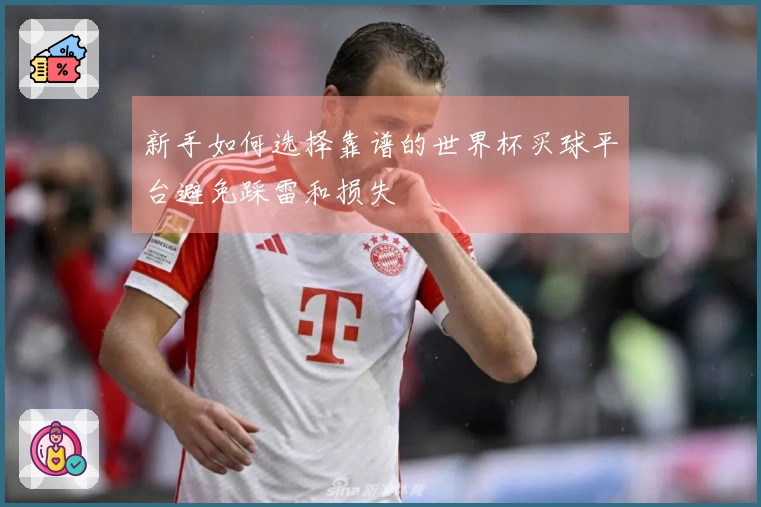 新手如何选择靠谱的世界杯买球平台避免踩雷和损失