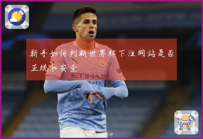 新手如何判断世界杯下注网站是否正规和安全